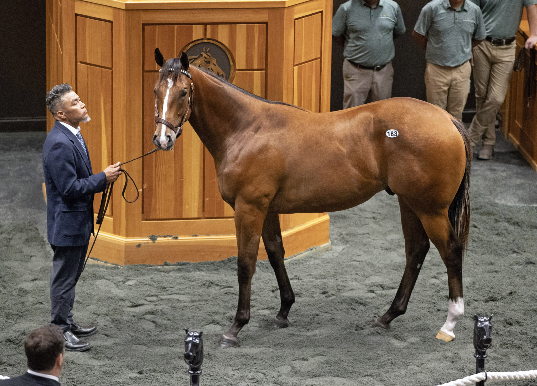 2024 FasigTipton Saratoga sale closes with records across the board